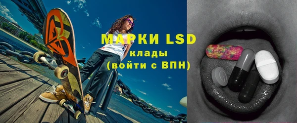 стаф Михайловск
