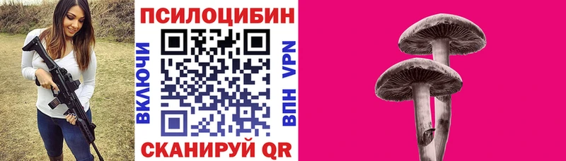 купить   нарко площадка какой сайт  Псилоцибиновые грибы Magic Shrooms  Александров 